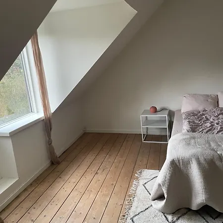 Udlejning Af To Vaerelser Med Udsigt Til Parken Beliggende I Centrum Séjour chez l'habitant Odense