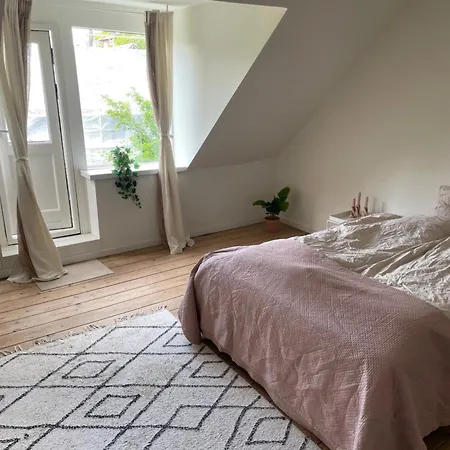 Udlejning Af To Vaerelser Med Udsigt Til Parken Beliggende I Centrum Accommodatie bij particulieren Odense