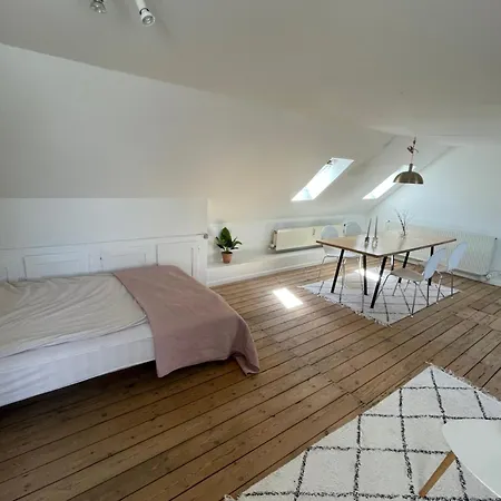 Séjour chez l'habitant Udlejning Af To Vaerelser Med Udsigt Til Parken Beliggende I Centrum *