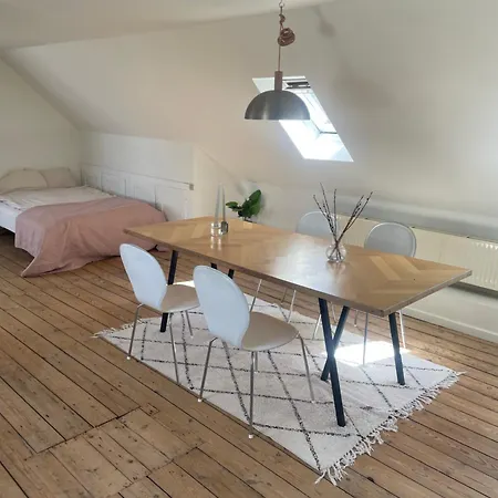 Udlejning Af To Vaerelser Med Udsigt Til Parken Beliggende I Centrum Quarto em Acomodações Particulares Odense