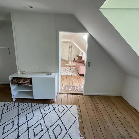 Séjour chez l'habitant Udlejning Af To Vaerelser Med Udsigt Til Parken Beliggende I Centrum Odense