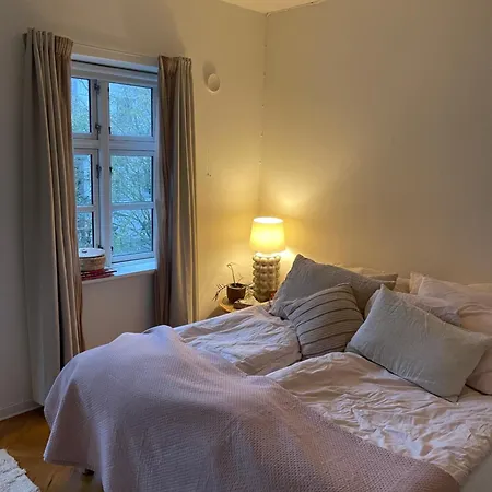 Stort Vaerelse Udlejes I Herskabslejlighed Midt I By 民宿 欧登塞